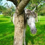 Learn All About Panic Attacks With These Tips
